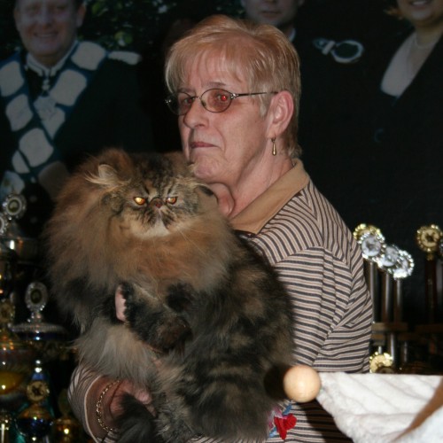 Beste Spielothek in Farven finden Beste Spielothek in Farven finden