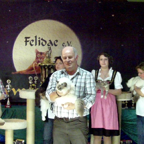Katzenausstellung des Felidae e.V. in Tostedt