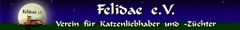 Banner Felidea